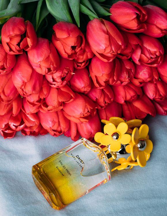 How to Find a Signature Scent You'll Love for Years