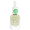 Bio-Sourced Chip Free Nail Lacquer - Ride or Die by Nailtopia for Women - 0.41 oz Nail Polish