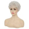 Short Gray White Wigs for Women Synthetic Layered Curly Natural Looking Costume Hair Wig