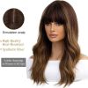 Ombre Brown Wigs for Women 20 Inches Long Nature Curly Natural wig Synthetic Hair Heat Resistant Wigs for Daily Party Cosplay Wear