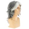 Mens Wig Grey Long Straight Synthetic Heat Resistant Costume Cosplay Hair Wig
