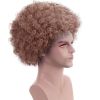 Fluffy Afro Synthetic Clown Wig for Men Women Cosplay Anime Party Christmas Halloween Fancy Funny Wigs (Brown)