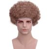 Fluffy Afro Synthetic Clown Wig for Men Women Cosplay Anime Party Christmas Halloween Fancy Funny Wigs (Brown)