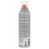 Thermal Flat Iron Spray by Rusk for Unisex - 8.8 oz Hair Spray