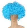 Colorful Clown Costume Wig - Multicolored Clown Wig Costume Accessories for Kids and Adults